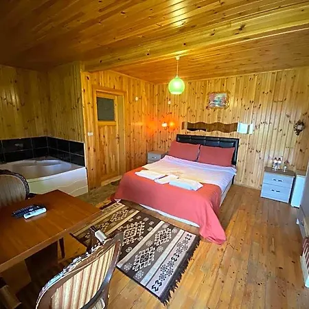 Hotell River *